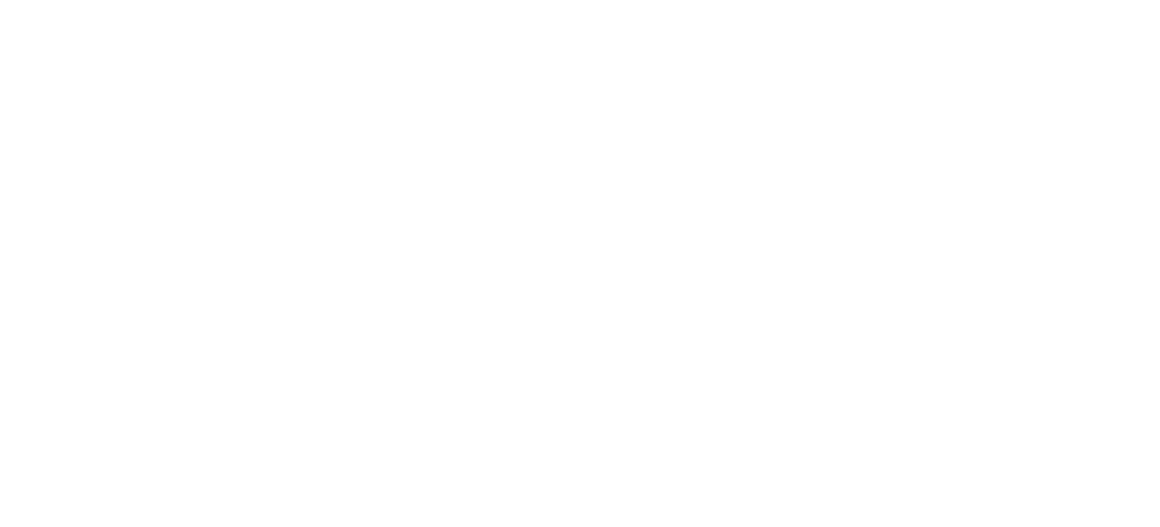 Alin Surducan